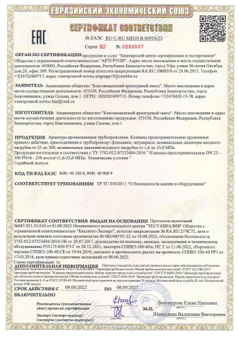 Сертификат 1